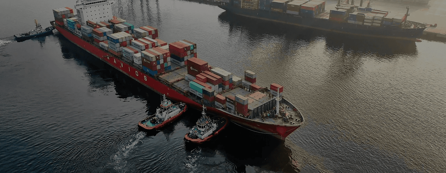 ShippZone logistics operations - cargo ships and containers at port